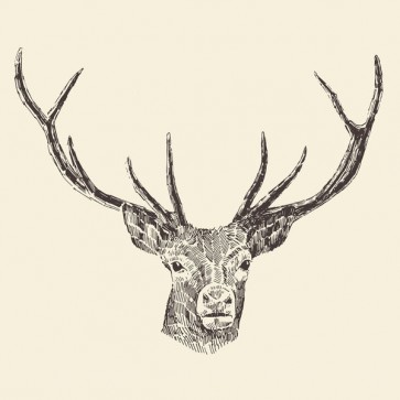 Deer - Hand drawn