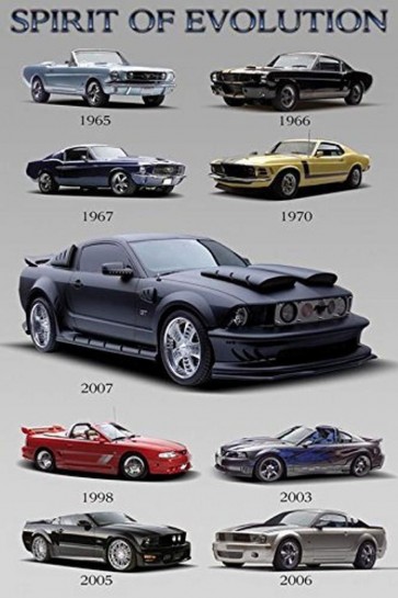Mustang - Spirit of Evolution