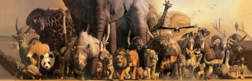Africa - Animals  