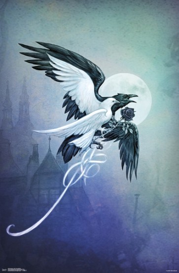 Alchemy - Saint Corvus 