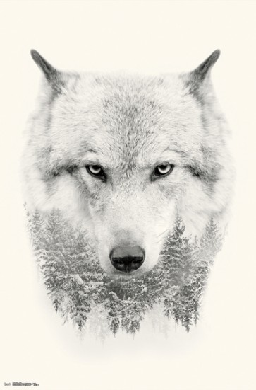 Spirit Animals & Trees - Wolf