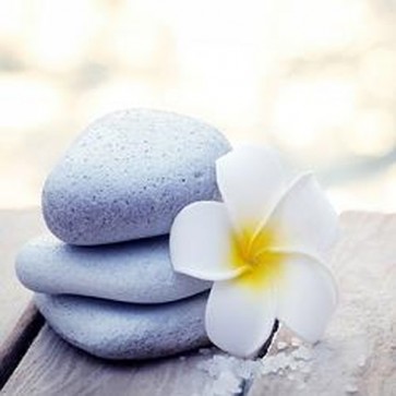Pebbles and Fragipani Flower  