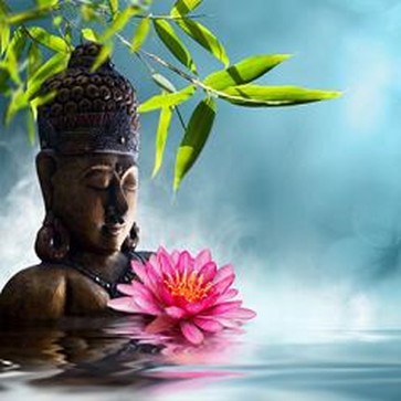Buddha In Meditation 