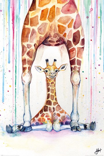 Marc Allante - Gorgeous Giraffes