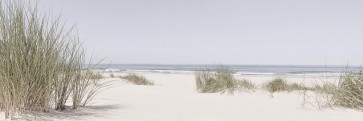 Sand Dunes - Summer Beach Panorama