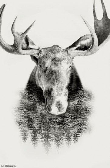 Spirit Animals & Trees - Moose