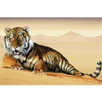 Tiger - Bed of Sand