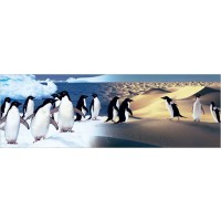 Surreal Penguin Landscape