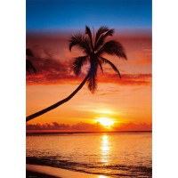 Sunset and Palm Tree