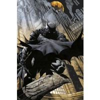 DC Comics - Batman Gargoyle