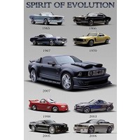 Mustang - Spirit of Evolution