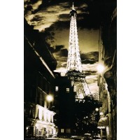 Paris-Eiffel Tower Lights 