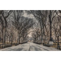 New York Central Park  