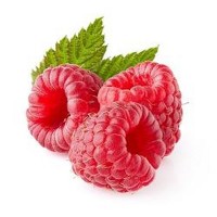 Raspberry with leaves 