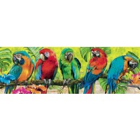 Parrots - Arra