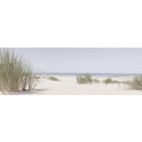 Sand Dunes - Summer Beach Panorama